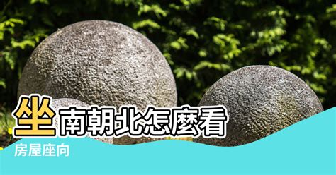 風水 坐南朝北|【房屋座向風水】認識房屋座向風水：坐南朝北財位佈置指南，提。